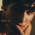[News]Shawn Mendes lança novo single e clipe, "Summer of Love", com Tainy