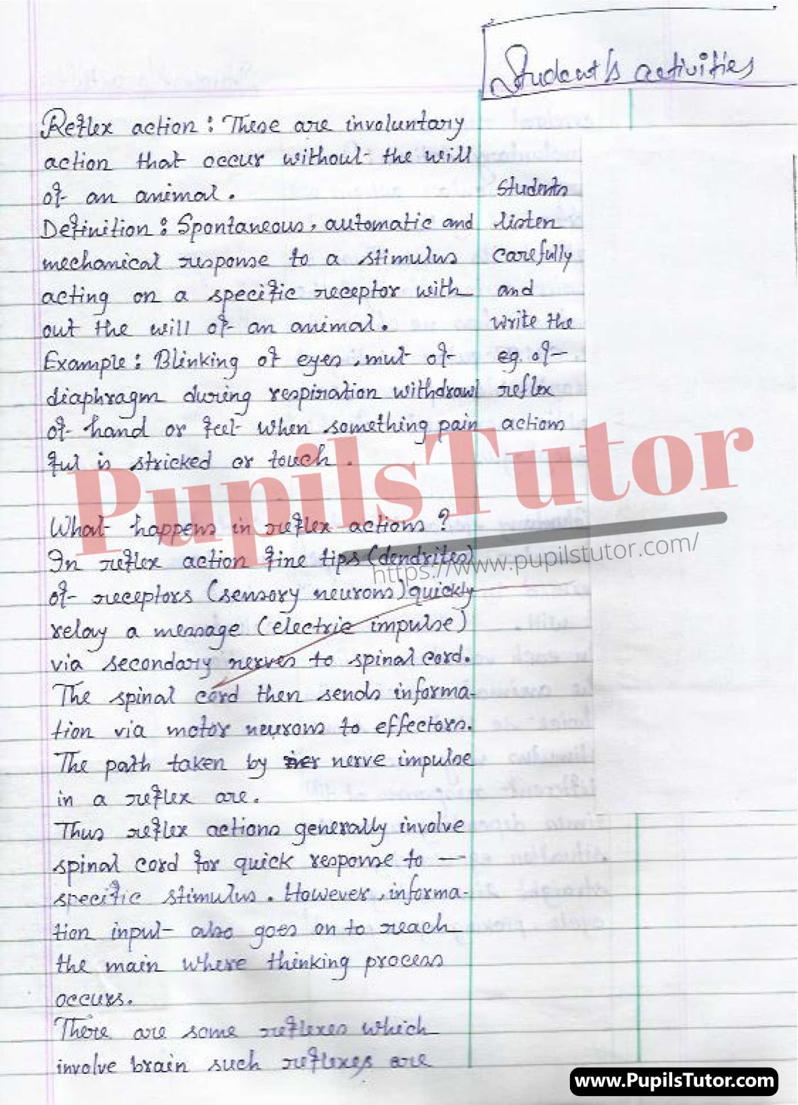 Biology (Science) Lesson Plan On Actions In Animals For Class/Grade 7 and 8 For CBSE NCERT School And College Teachers  – (Page And Image Number 3) – www.pupilstutor.com