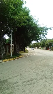 Avenida 31 de Julio