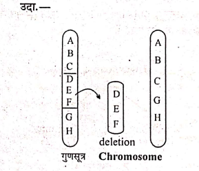 Deletion in chromosome