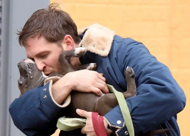 Heartwarming Photos Of Tom Hardy With Puppies Are Going Viral, And They’ll Melt Your Heart