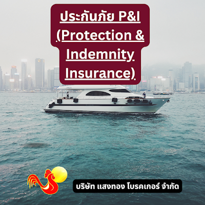 ประกันภัย P&I (Protection & Indemnity Insurance)