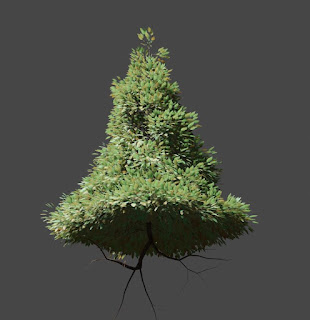 Tall Tree with root Plant fbx blend free 3d models