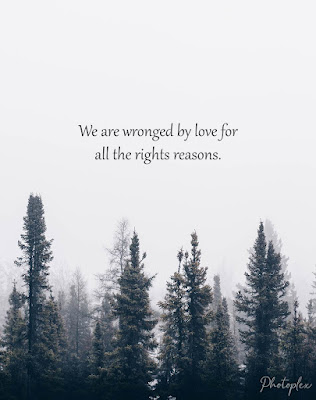 Sad love quotes - We are wronged by love for all the rights reasons. it's better to have love and lost than never to have loved at all