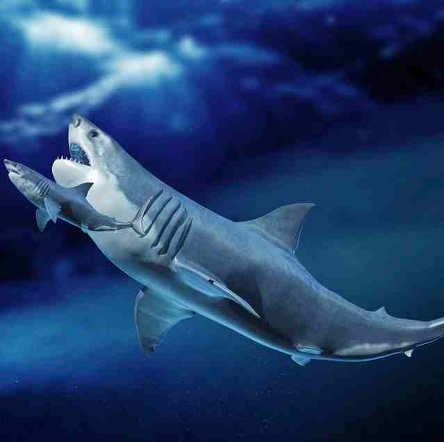 10 Terrifying Giant Prehistoric Sea Monsters