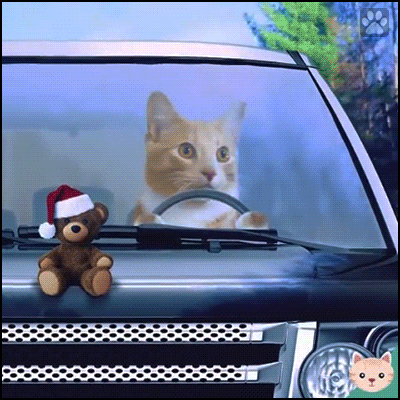Christmas Cat GIF • Cat is coming by his car. They see me rollin' with my Santa teddy, they hatin'