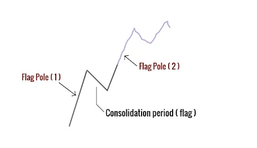 Bull Flag