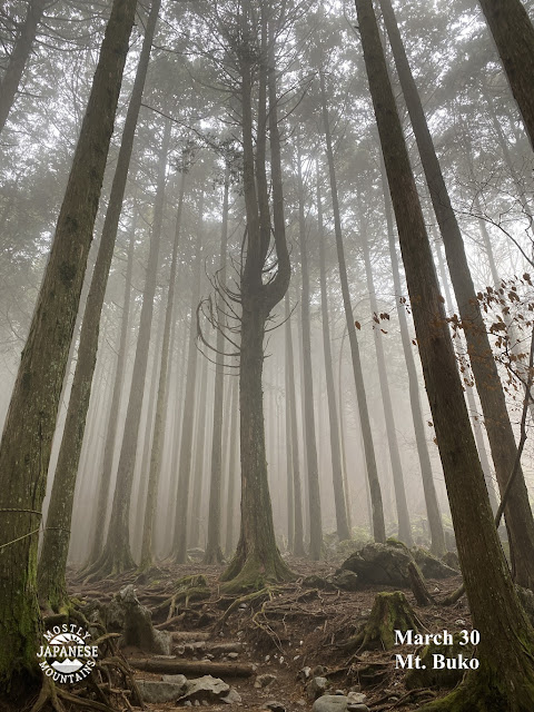 武甲山 Mt. Buko Trail