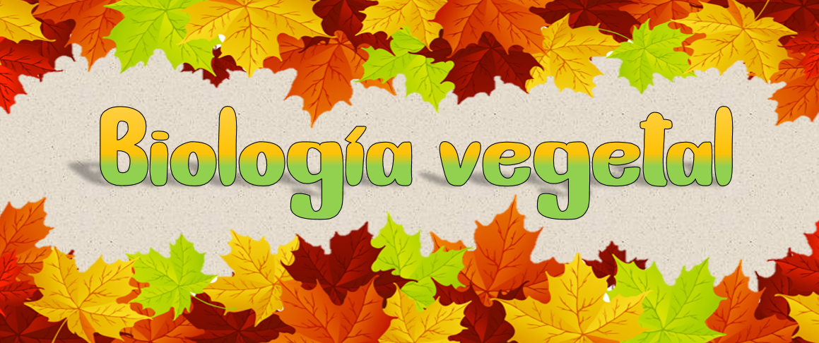 BIOLOGIA VEGETAL 