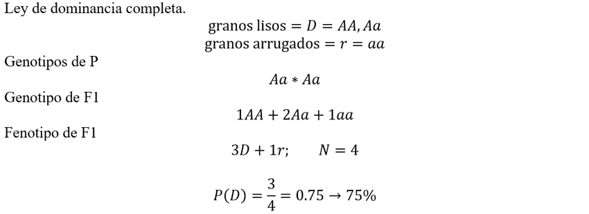 Como resolver el cruce monohíbrido Aa x aa, Como, resolver, el cruce monohíbrido, Aa x aa, Como resolver el cruce monohíbrido, el cruce monohíbrido Aa x aa, cruce monohíbrido Aa x aa, monohíbrido Aa x aa, probabilidades genotípicas del cruce Aa x aa, probabilidades fenotípicas del cruce Aa x aa, resolver el cruce Aa x aa para la F1, cuadro de Punnett