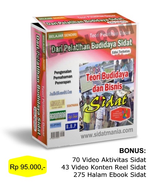 Tersedia Paket Belajar Sendiri: TEORI BUDIDAYA & BISNIS SIDAT (KODE: TE)