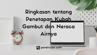 Ringkasan tentang Penetapan Kubah Gambut dan Neraca Airnya