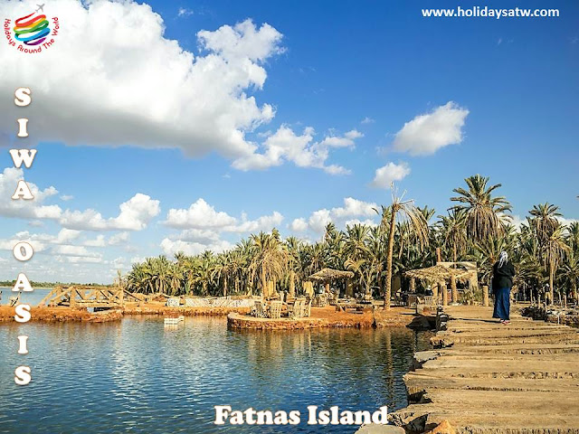 The best tourist activities in Siwa Oasis