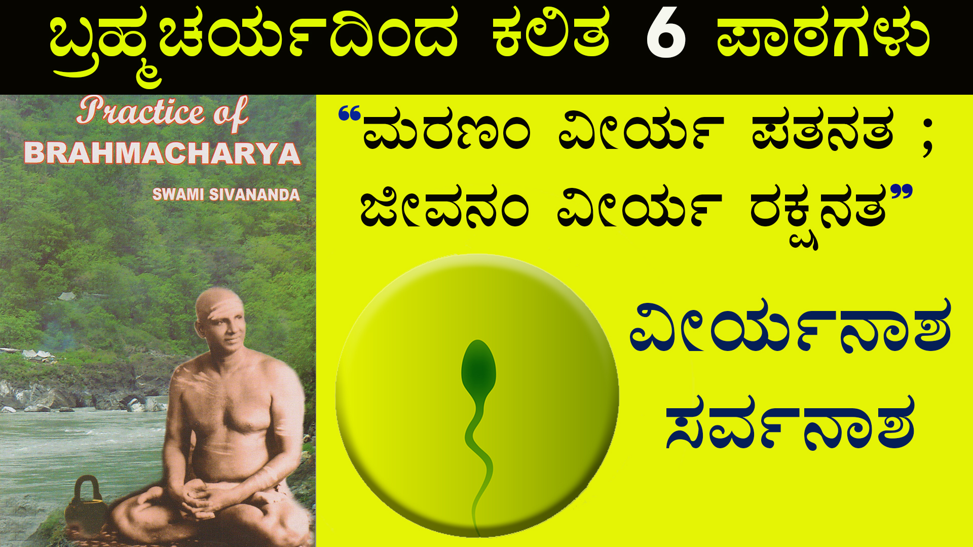 ಬ್ರಹ್ಮಚರ್ಯದಿಂದ ಕಲಿತ‌ ಪಾಠಗಳು - Lessons from Brahmacharya - Practice of Brahmacharya Book Summary