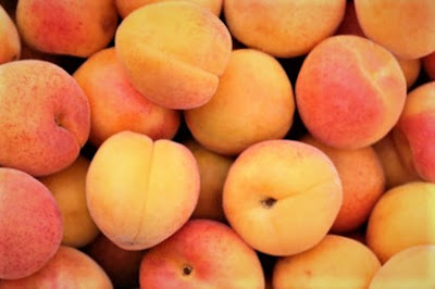 Apricot is a yellow and orange rounded drupe.