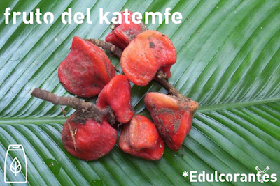 Fruto del katemfe de donde se obtiene el edulcorante taumatina (E957) - *Edulcorant.es