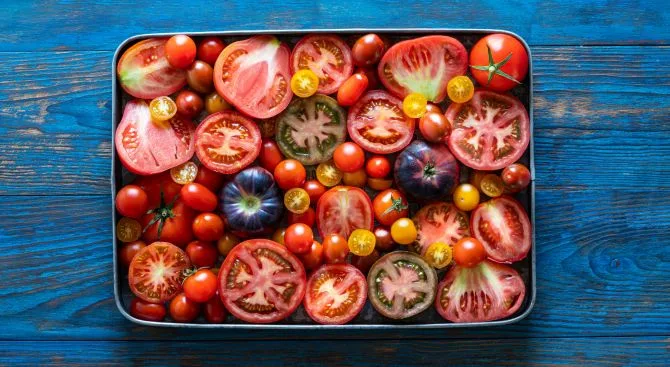 Harnessing the Healing Power of Morning Tomatoes