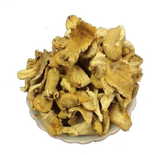 Dried oyster mushroom for sale