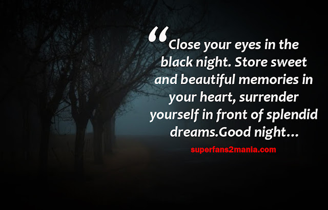 Close your eyes in the black night. Store sweet and beautiful memories in your heart, surrender yourself in front of splendid dreams. Good night…