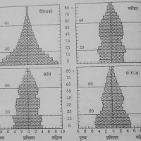 जनसंख्या की संरचना : आयु तथा लिंग अनुपात  (POPULATION COMPOSITION: AGE AND SEX RATIO)