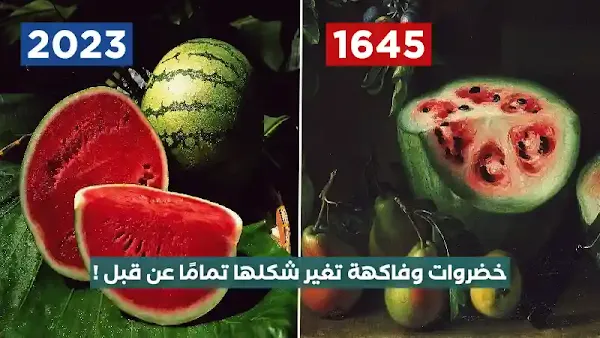 خضروات و فاكهة تغير شكلها تمامًا عن قبل !