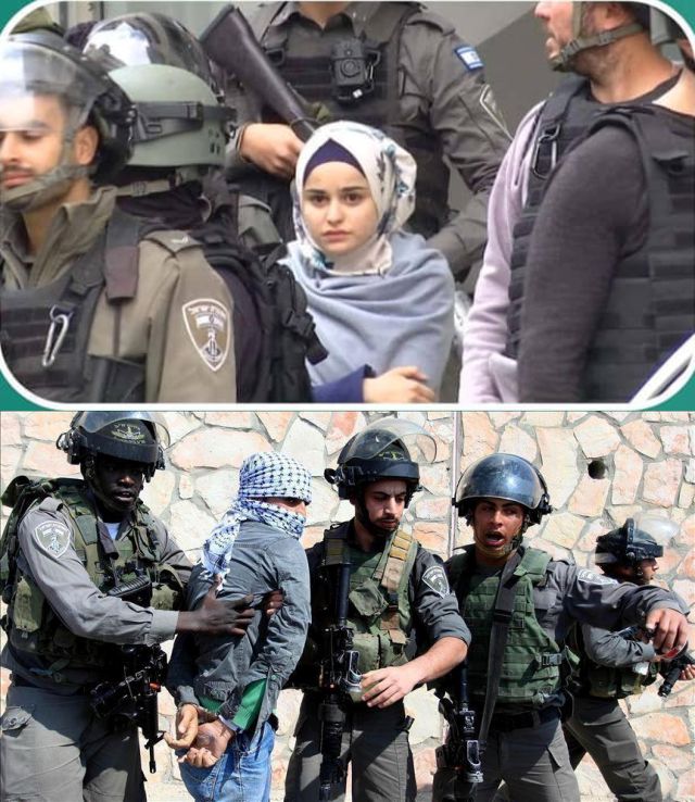  anak Palestine ditangkap tentara zionis CALON-CALON SYUHADA