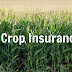 Crop Insurance: शासनाची आकडेवारी पीकविमा कंपन्याही मान्य करत नाहीत
