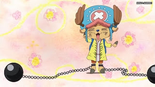 ワンピースアニメ WCI編 800話 チョッパー かわいい Tony Tony Chopper  | ONE PIECE Episode 800