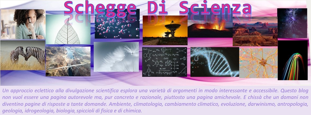 Schegge Di Scienza: Non Tutto Ma Di Tutto