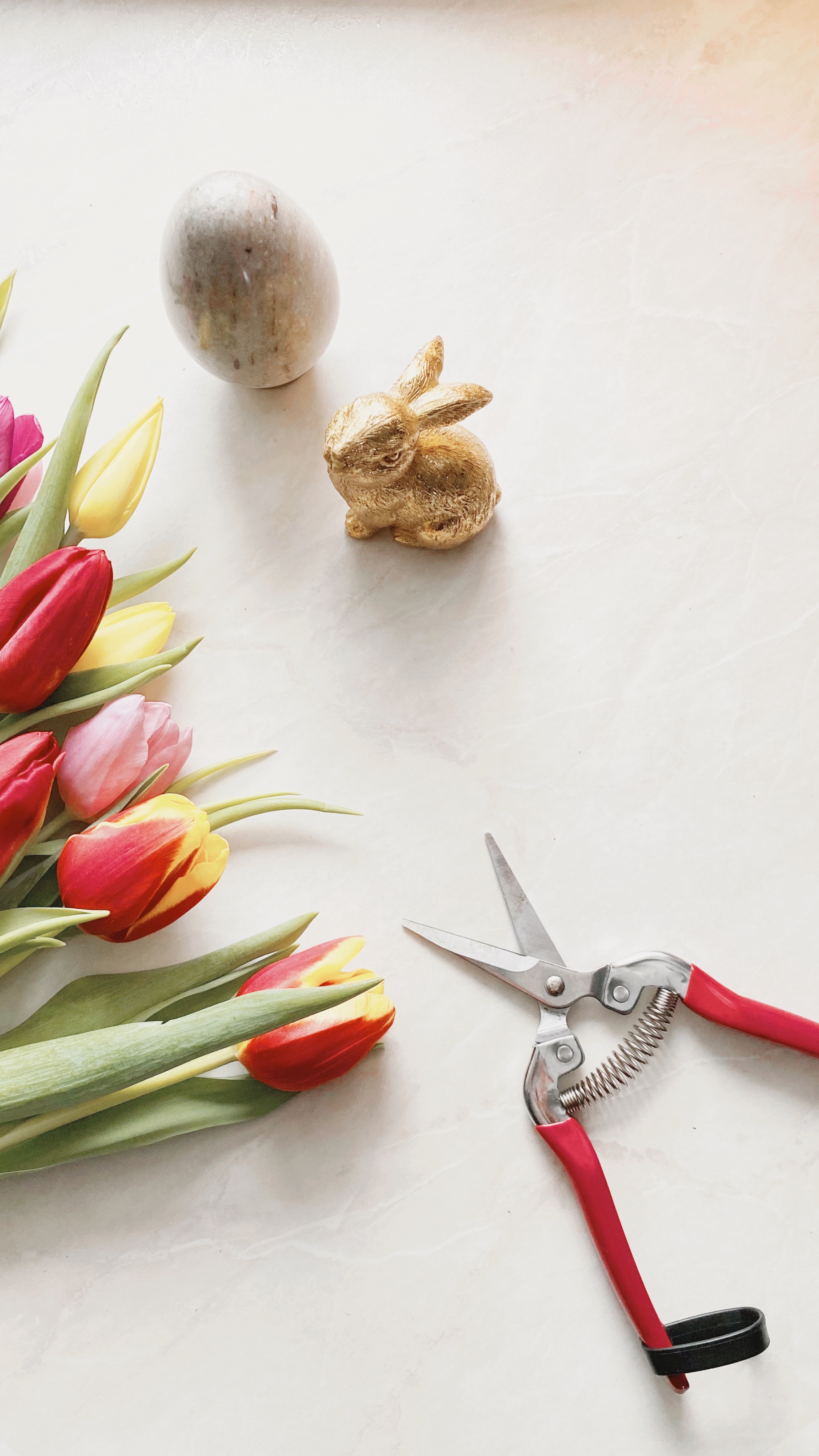 10 curiosidades sobre los tulipanes que os encantará saber