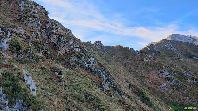 Vista del camino sobre la conducción del agua