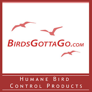 BirdsGottaGo.com