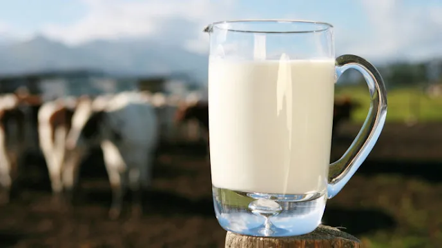 Todo lo que debes saber sobre la leche (y sus derivados)