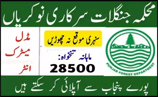 FOREST DEPARTMENT PUNJAB JOBS 2022