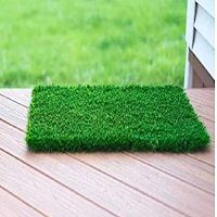 Artificial Grass