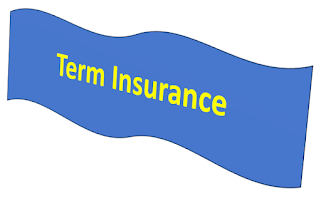 Term Insurance Do's and Don'ts