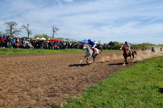 At yarışları düzenlendi, geleneksel at yarışları, köy bayramı, köy şenlikleri