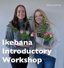 Introductory Worksop