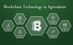 Blockchain Technology in Agribusiness