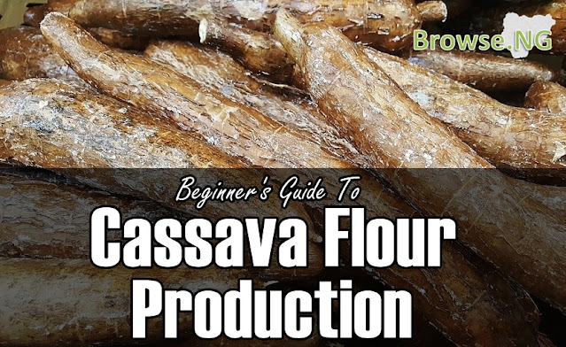 Multimillionaire Guide To Cassava Flour Production In Nigeria