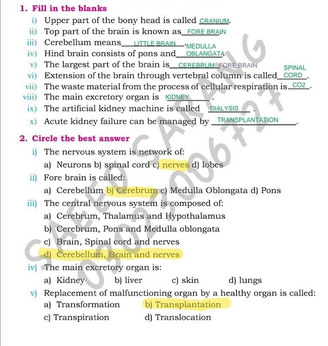 Download General Science Class 8 Sindh Board Solved MCQs IBA Screening 