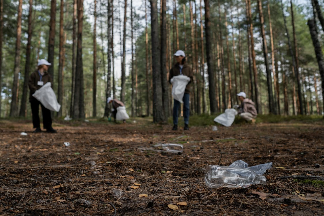 Embracing Change: International Plastic Bag Free Day