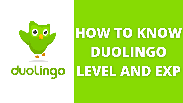 How to Know Duolingo Level and Exp