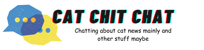 Cat Chit Chat