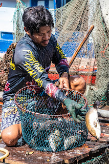 Fisherman sorting his catch, Mai Rot fishing village, Trat