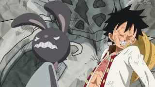 ワンピースアニメ WCI編 811話 ルフィ Monkey D. Luffy 本の中 | ONE PIECE Episode 811