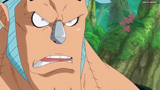 ワンピースアニメ ゾウ編 773話 フランキー| ONE PIECE Episode 773