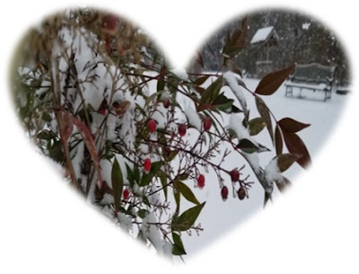 CHMusings: Heart of snow