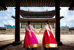 About  Korea Culture Life Blog