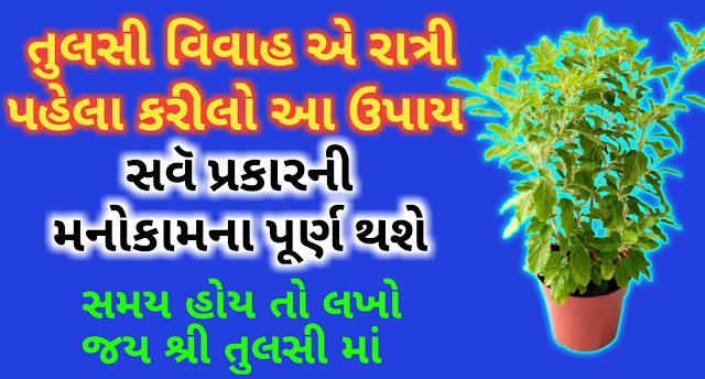 Tulsi-Vivah-Upay-2021-Gujarati